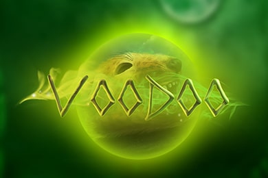 Pixies of the Forest